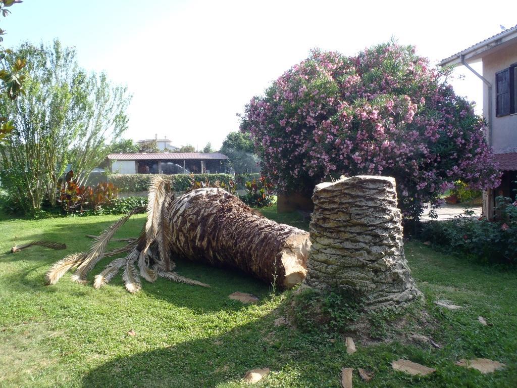 B&B Villa Sans Souci ชิวิตาเวกเกีย ภายนอก รูปภาพ